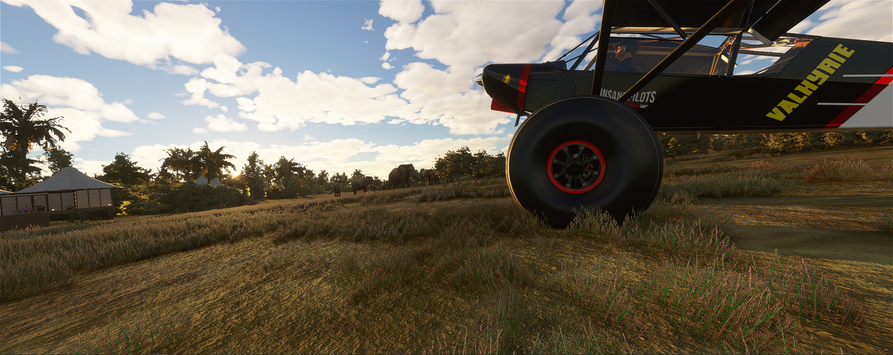 Savage-Cub-9.jpg
