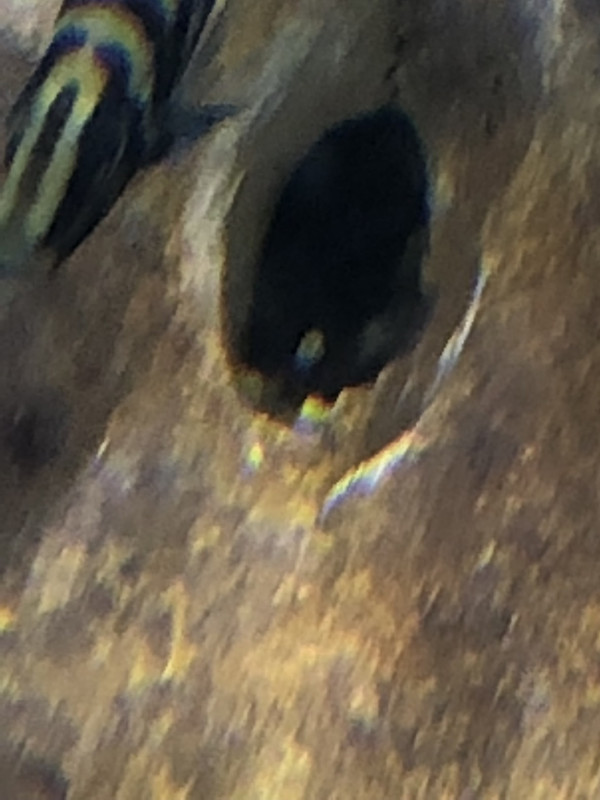 454F8953-6C0D-4C09-81C7-AFDA40D1EA6B