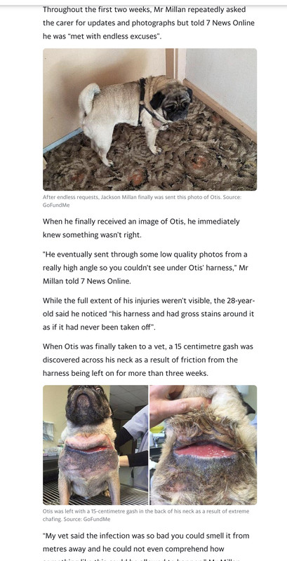 56AC34D9-1BC4-40E5-9880-F98934329C22