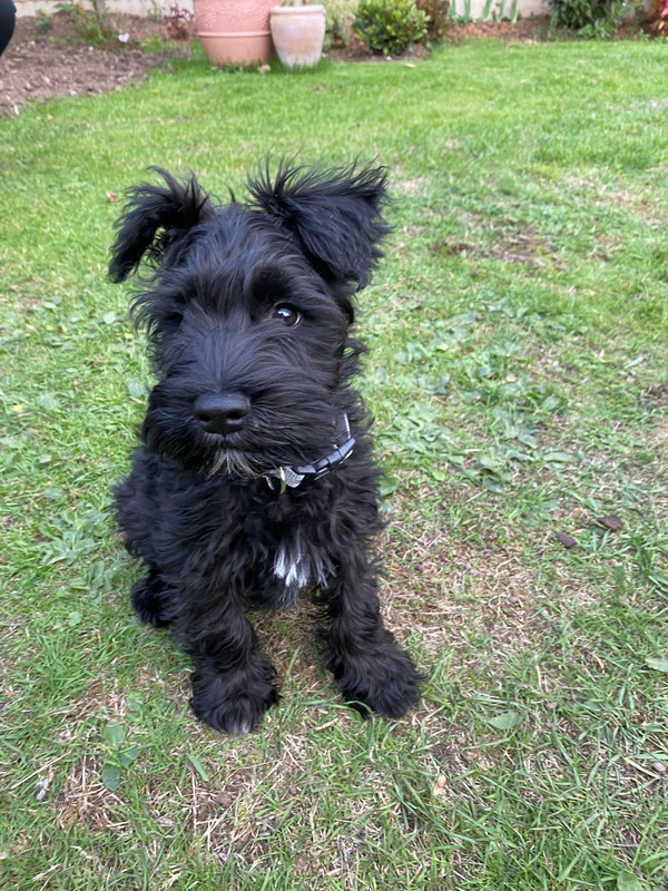 E8703BFA-6657-499A-9958-FC99B4AEC9C3