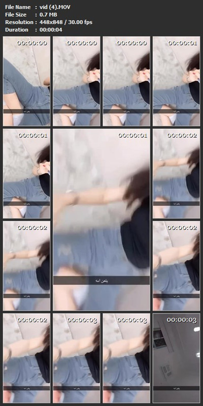 vid (4).MOV