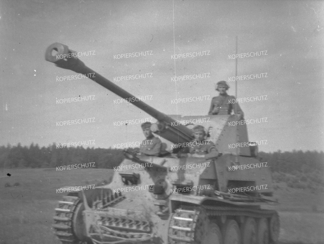 Marder Panzerjäger Ersatz Abteilung Panzer Sturm