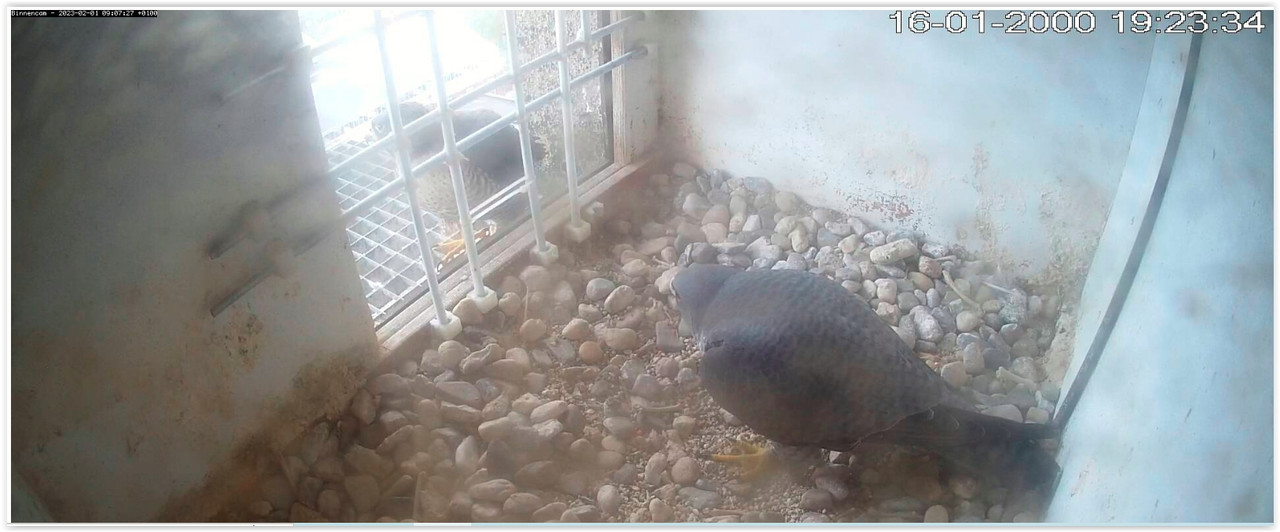 Screen Shot 02-01-23 at 09.07 AM 001