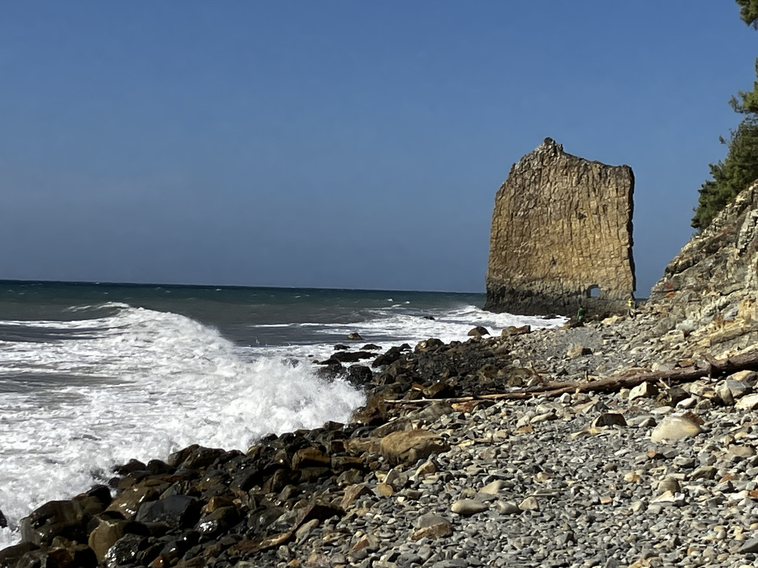 IMG-1935.jpg