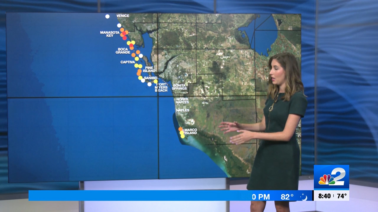 04.08 - 13.30.00 - NBC 2 News Today - Saturday  ᴺᵉʷ..ts_snapshot_00.17.20.579