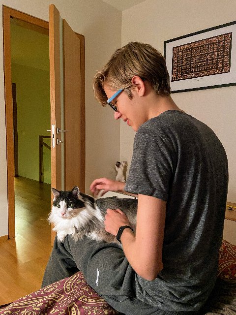 4-DB1-DD0-E-DC5-D-4-DF6-AFF5-E9577-BF832