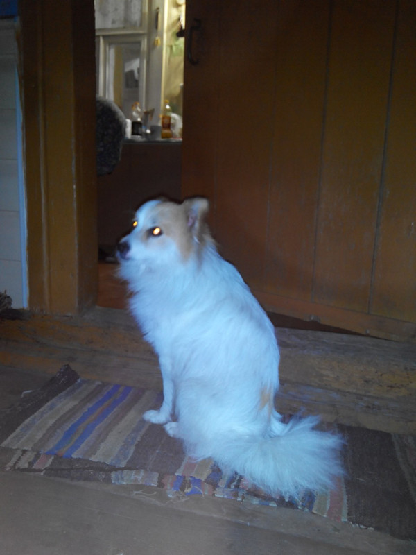 IMG-f35a2ceac8a2118ef81e79e72470ed65-V