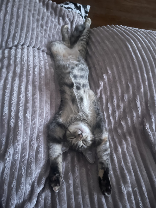 841F51B9-7E80-4D8C-AD7A-CF1CDA05ED0A