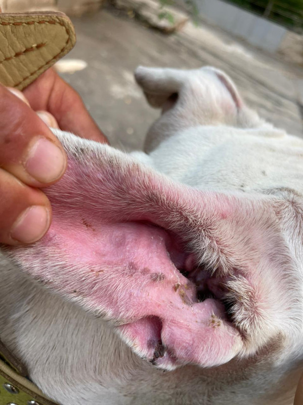 WhatsApp Image 2022-08-05 at 14.53.42 (1)