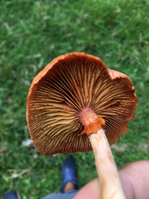 10A45146-3115-42C7-A74C-635F94228B67