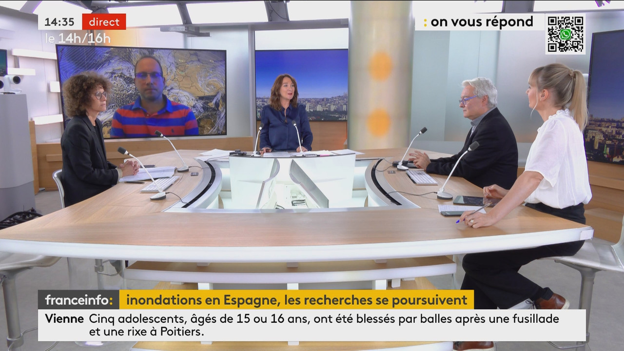 Le 14h-16h (Franceinfo)_2024_11_01_12_50_49.ts_snapshot_00.45.35.574