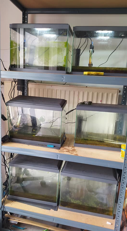 245061350_10226739812950541_7345352766947881989_n