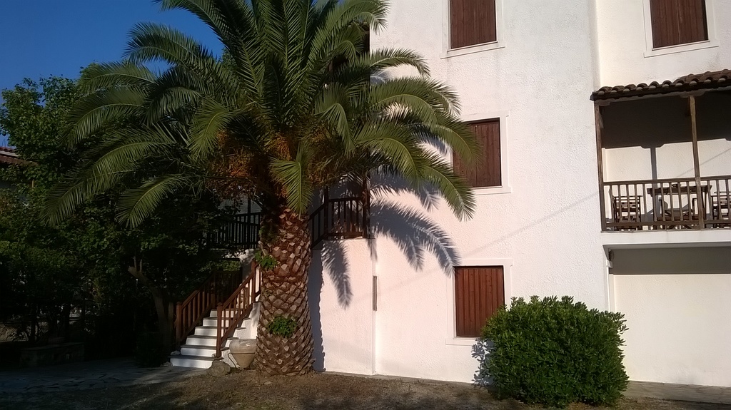 WP_20160627_049