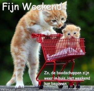 weekend-5