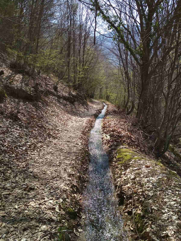 ED6317B3-9097-48C4-98CE-CB8D08D9BEB2