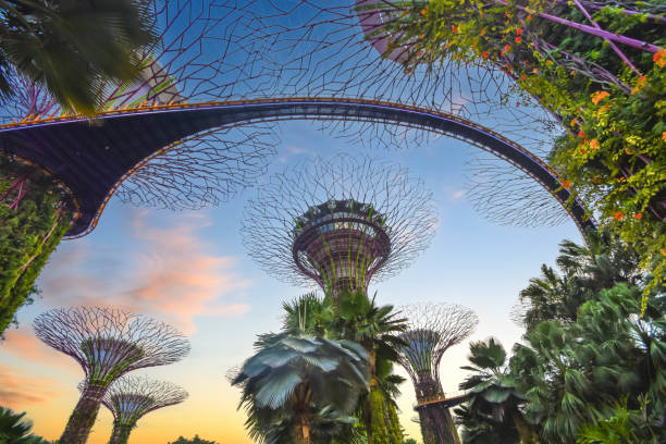 singapore travel guide tips checklist