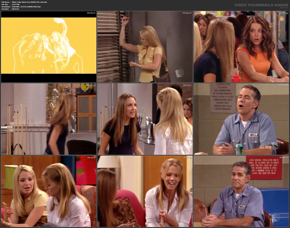 What I Like About You S02E04 The Loft.mkv