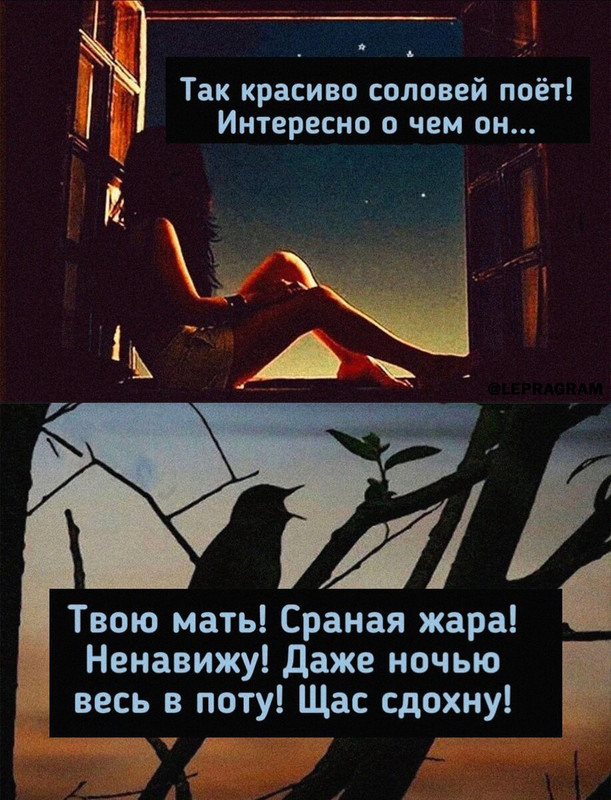 жара scale_1200 (1)_result