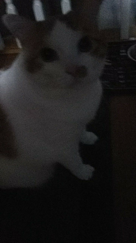 feed me