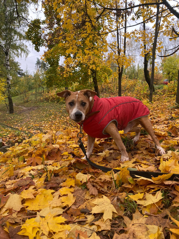 48CB0430-64C1-425B-BFF9-320EB26B9234