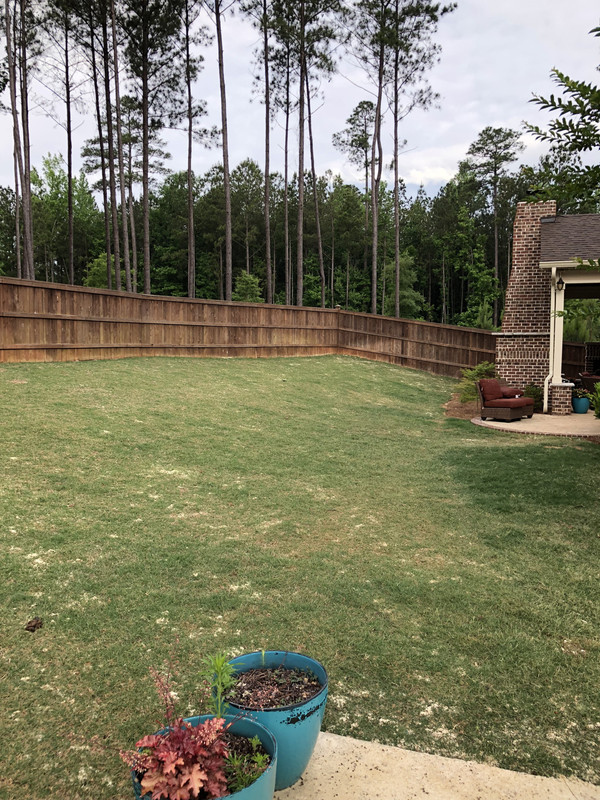 6DCA5212-54C8-4707-9553-1CC42C820098