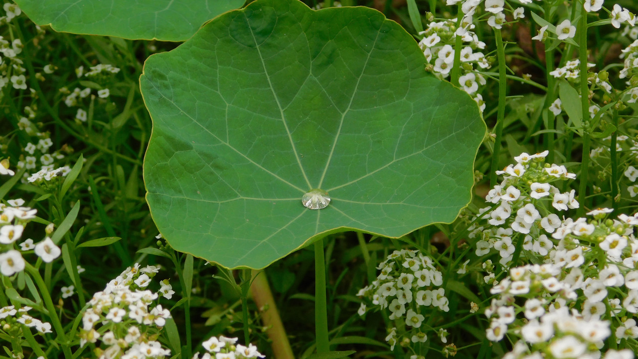 Дачное и  к Хелл сентябрь 2023 222