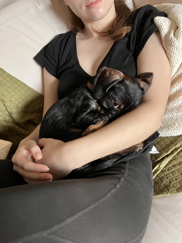 [Image: IMG-2389.jpg]