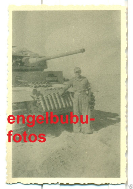 PANZER - Deutscher PANZER  - AFRIKA  SÜDFRONT - 