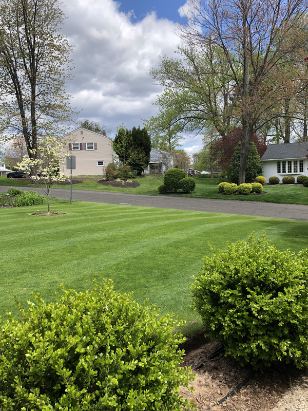 933A4379-7E04-460B-A481-8F9AA8A1DDFE