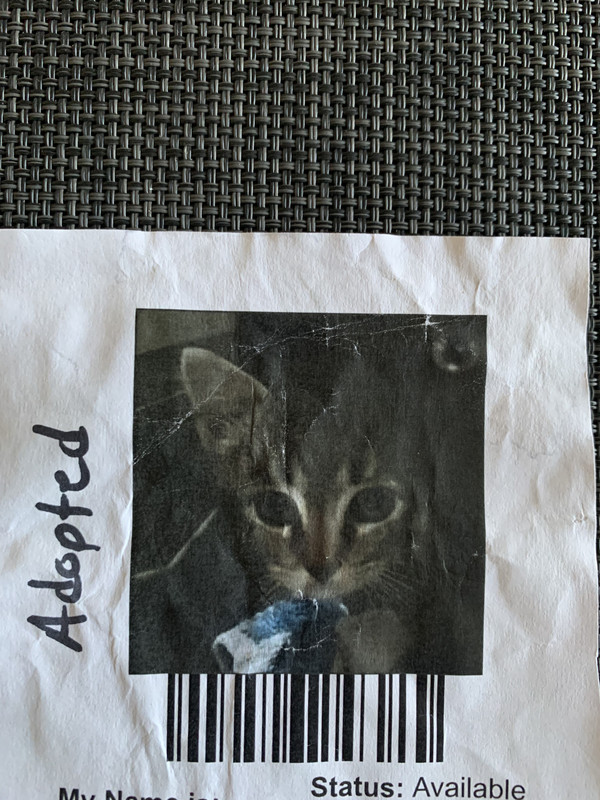 6FEE6F5D-5C10-42ED-9E65-FF9612DBC036