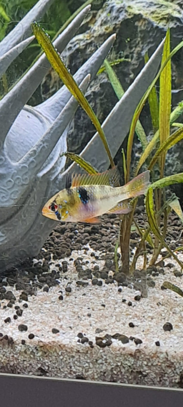 Screenshot_20250720_101402_Gallery