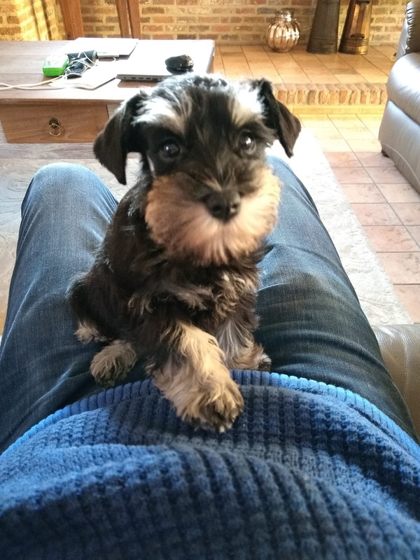 IMG_20210212_092306750