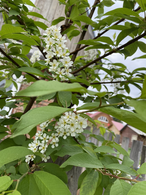 A5129C4B-853F-499C-979E-89E41300FD48