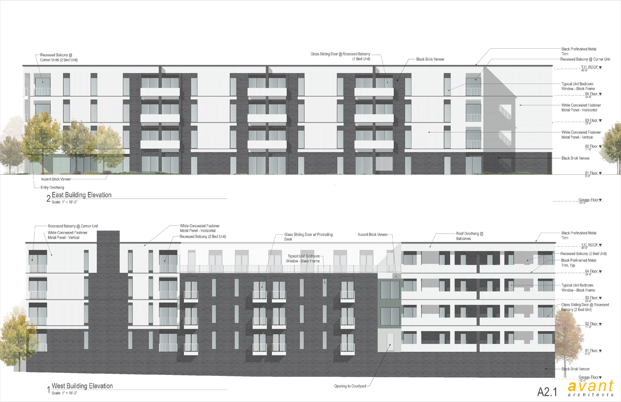22Woodsonia