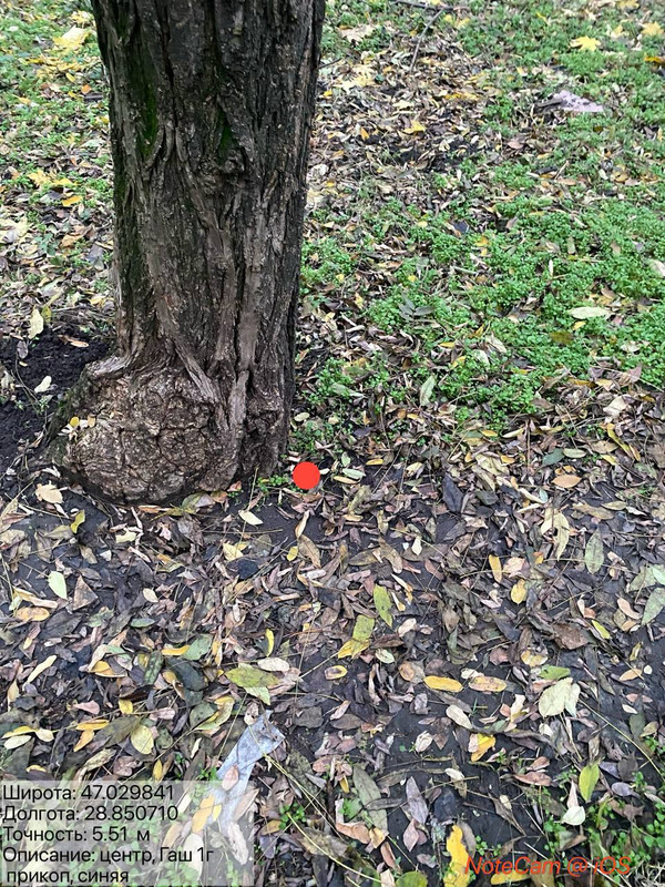 IMG 3635