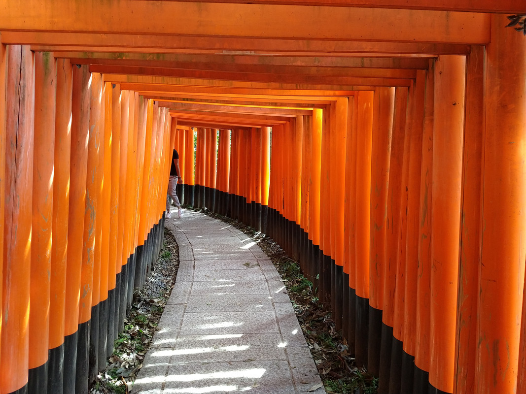 MARTES 11 - KYOTO Inari - Tofuku-ji, - Uji - JAPON. UNA GRAN AVENTURA , SIN ENAMORAMIENTO FINAL (4)