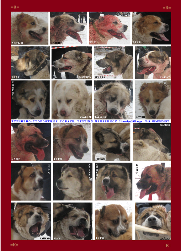 2009.11.21 5-й Турнир 1-й Круг ТСС Портреты ЛИСТ (5)