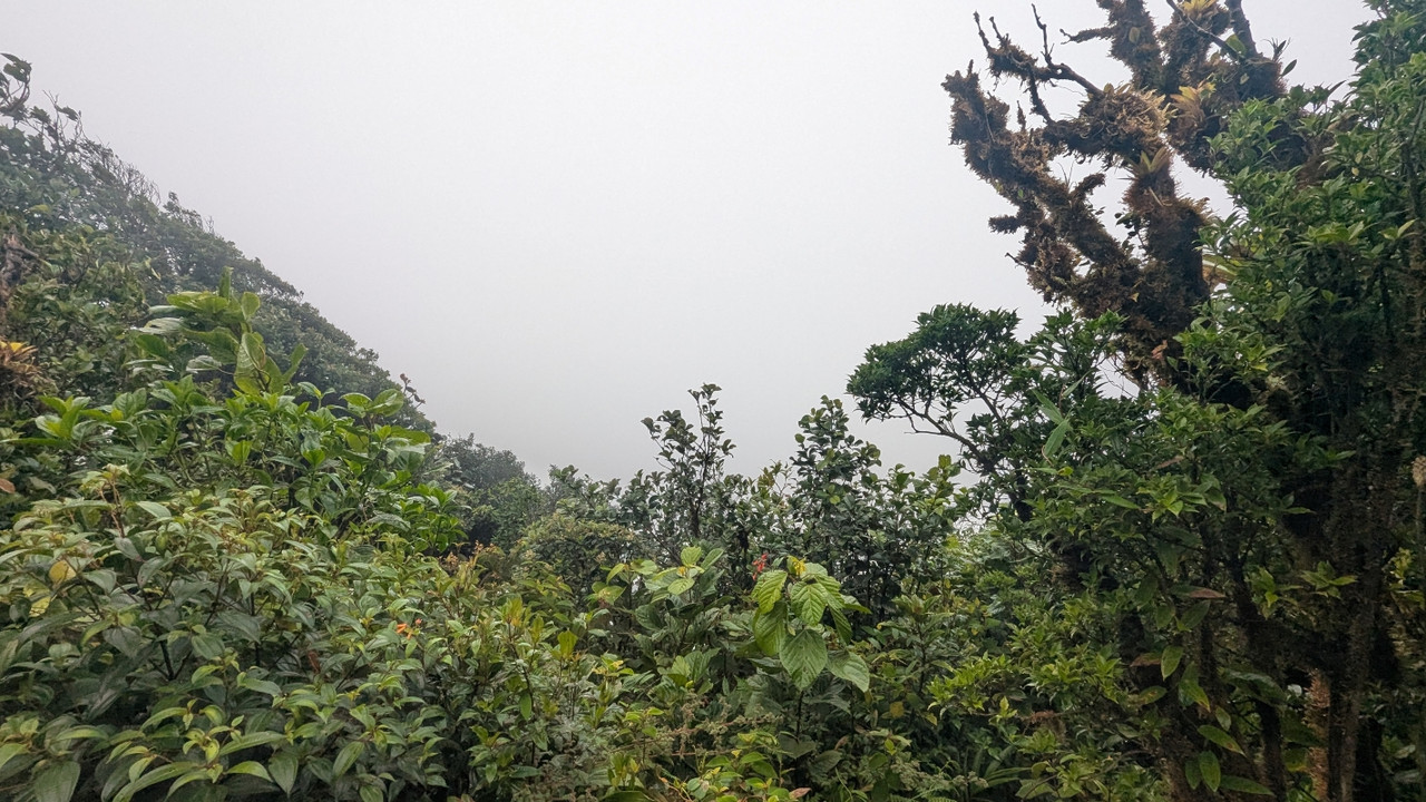 Ожидание и реальность. Давайте немного повеселимся!