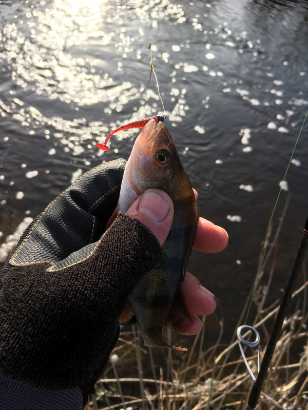 C13524F8-2A1E-4DD3-B6BB-C4792F61EAC3