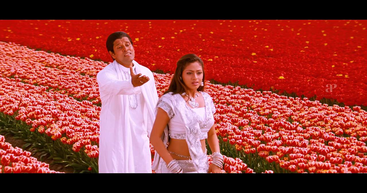 VideoCapture_20241122-195030