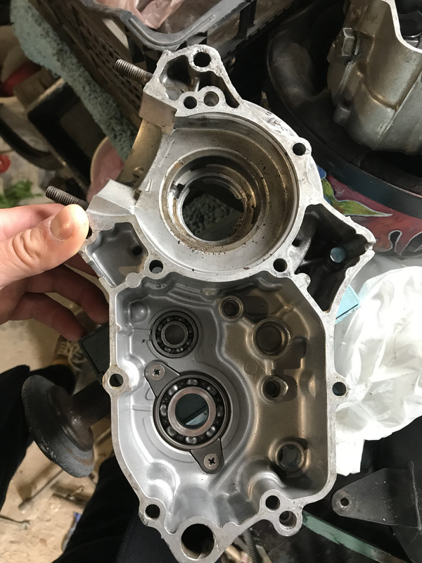 445F4072-5CA2-410B-8607-56C527FE54E0