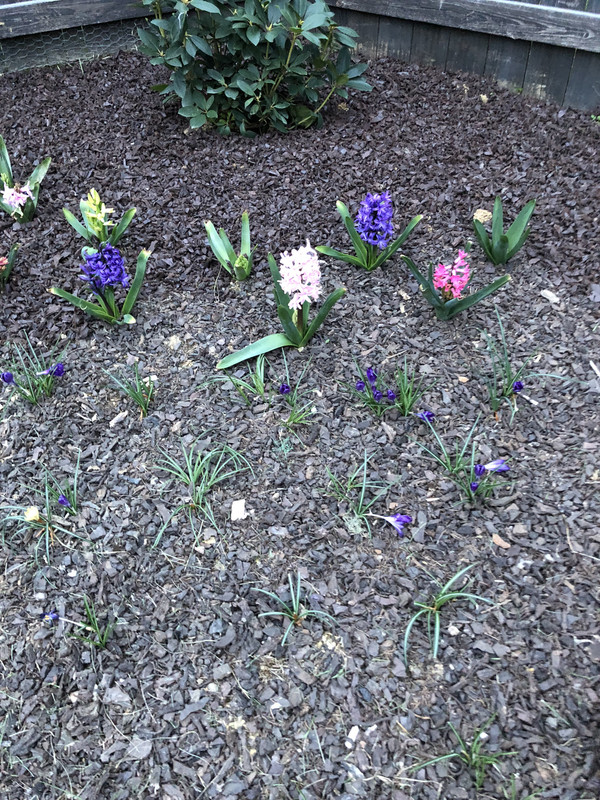 391D057A-107E-44AE-B97A-DAA3701E180C