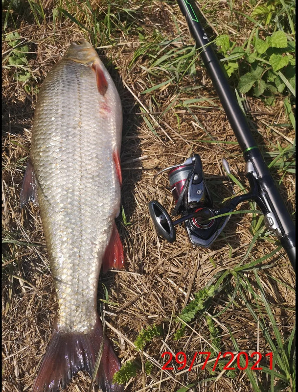 received_3101795270053255(1)