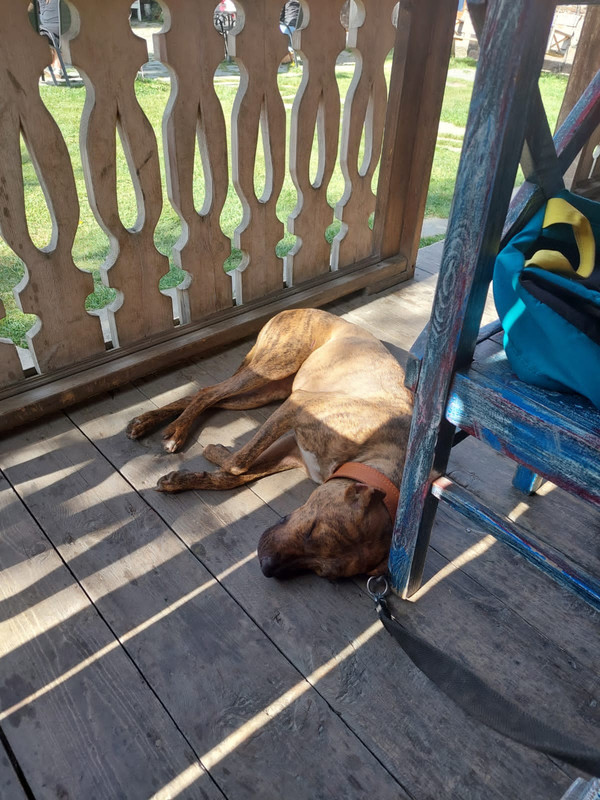 F383D2D7-25BB-444F-BD40-8554EAC2B002