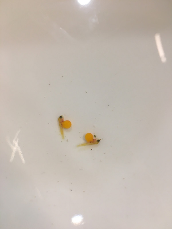 B73D43BB-91B1-4FDA-B196-A3306ACC4603