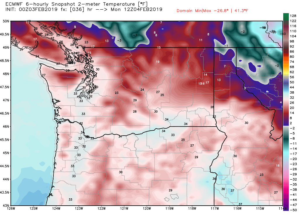 ecmwf-t2m-washington-7.png