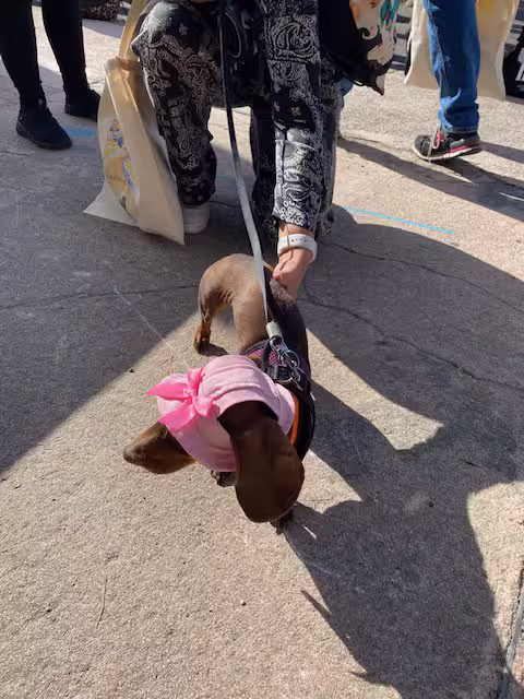 [Image: temp-Imagewxs5-BT.avif]