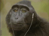 6698a5da27a18a30878fb6cc45e70d78 w200