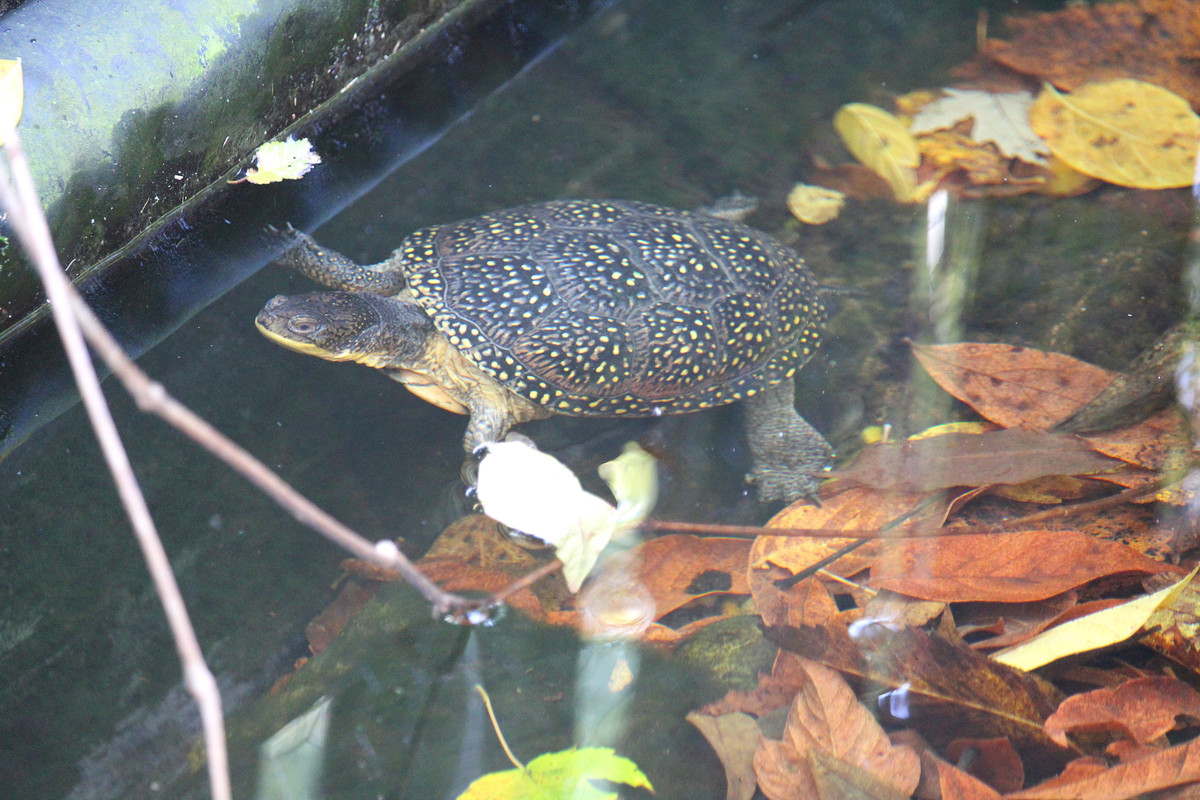 IMG-4292.jpg