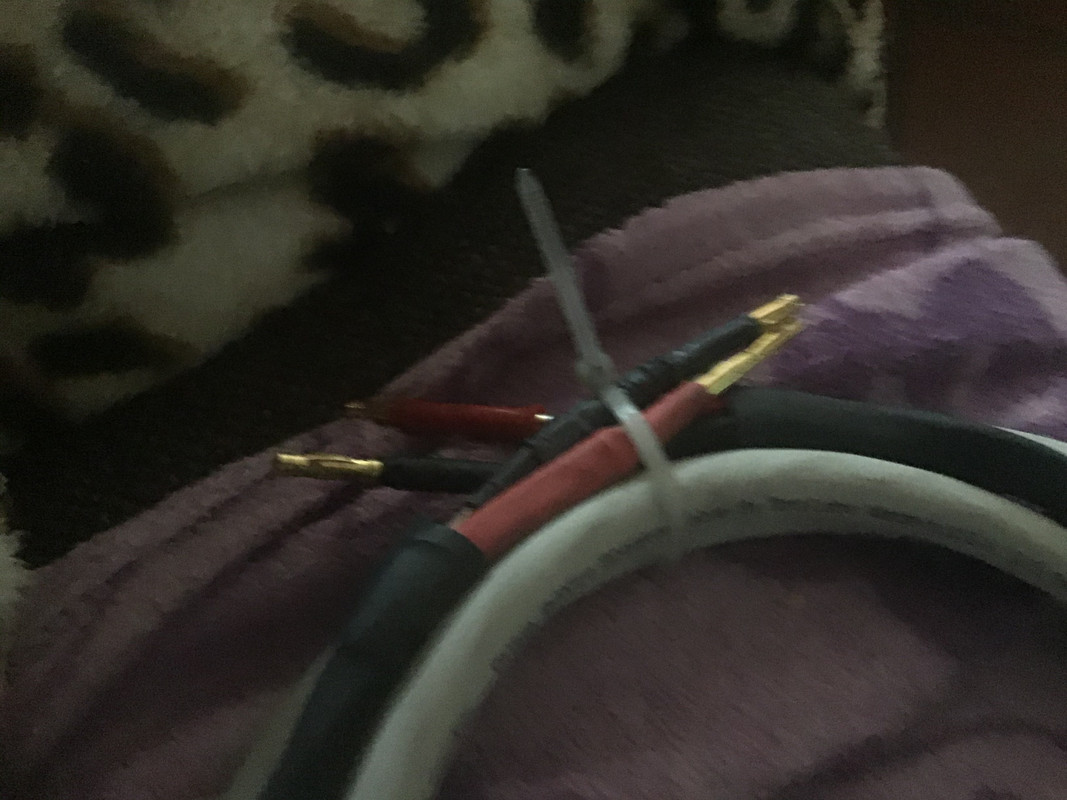 B3A384C1-40E2-4AB5-A420-E1146B95C71A